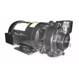 DAYTON 3 HP Three Phase Cast Iron Centrifugal Pump, 2ZWR3-image-33