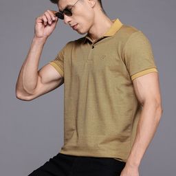 Allen Solly Self-Striped Polo Collar T-shirt-image-38