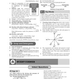 oswaal books Oswaal NCERT Textbook Solution Class 10 Science & Mathematics | Set of 2 Books | For Latest Exam image 5