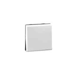 Legrand Myrius 10 A Switch with 1 Way and 2 Module 6730 05-14