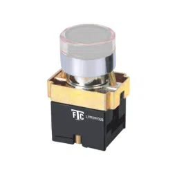 FTC 22.5 mm 110 V AC Luminious Flush Button White LED Type without Contact Element, PB-05-25