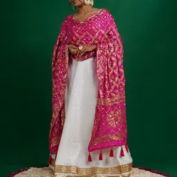 TEEJH Chetna Ethnic Motifs Woven Design Dupatta-image-66