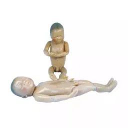A-ONE SCIENCE Brown PVC New Born Baby Model AOSBM190-image-97