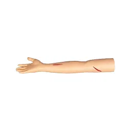 A-ONE SCIENCE Silicone Advanced Surgical Suture Arm Model AOSBM248-picture-33