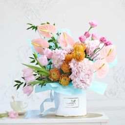 Morning Melody-image-7
