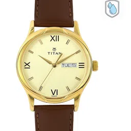 Titan Men Gold-Toned Dial Watch NH1580YL05-image-51