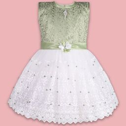 Wish Karo Embroidered Net Fit & Flare Dress-picture-20