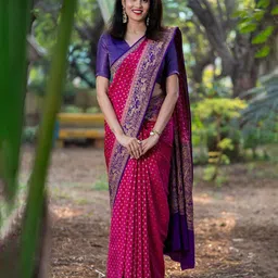 Marziyaa Woven Design Zari Banarasi Saree-picture-43