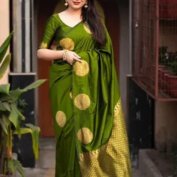RUNAYA NX Woven Design Pure Silk Banarasi Saree-picture-25