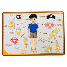 TodFod Wooden Body Parts Puzzle With Knob Multicolour - 10 Pieces-19