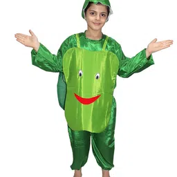 Kaku Fancy Dresses Kids Capsicum Vegetables Costume Set-picture-43