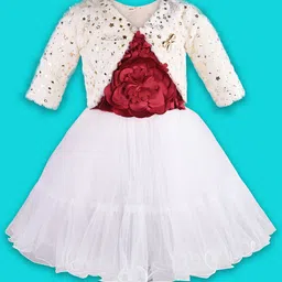 Wish Karo Net Fit & Flare Dress-image-82
