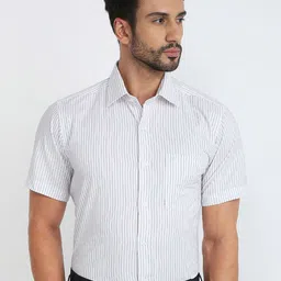 Raymond Striped Pure Cotton Semicutaway Formal Shirt-image-45