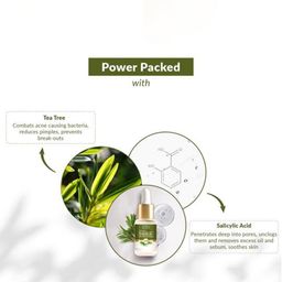 Lotus Botanicals Set Of 2 Acne Control & Pore Cleansing Power Serum - 14 ml Each image 5