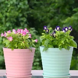 eha Pink & Green 2 Pieces Textured Planter With Holder-23