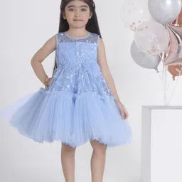 Ministitch Applique Net Fit & Flare Dress-picture-46
