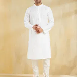 Fabindia Striped Pure Cotton Mandarin Collar Straight Kurta-image-35