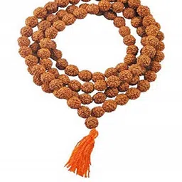 Divine souvenirs Brown Alloy Necklace-51