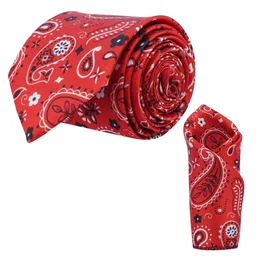 CALIXTO Men Printed Ascot Tie-image-2