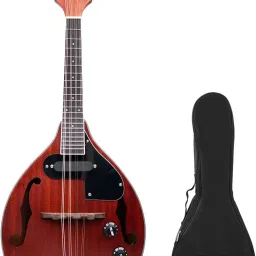 Kadence Solid wood Mandolin, A style, F Holes, 8 strings with tone A-style F-Hole Mandolin-image-28