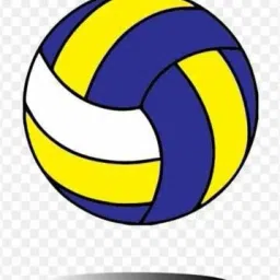 CLASSSIC VOLLEYBALL 1418 AND WITH AIR PIN Volleyball - Size: 4-picture-7