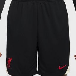 Nike Liverpool FC Strike Special Edition Men's Dri-FIT Soccer Knit Shorts-image-60