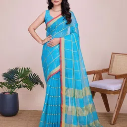 Panzora Checked Zari Saree-picture-37