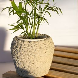 Greyt Beige Cement Finish Concrete Planter-image-63