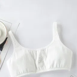 LARIX Bra Full Coverage Lightly Padded-picture-5