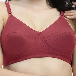 SHYAM SONS FLAIR Pack Of 2 Full Coverage Solid Bra image 3