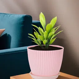 Kuber Industries Pink & Beige 12 Pieces Textured Flower Pots with Tray-60