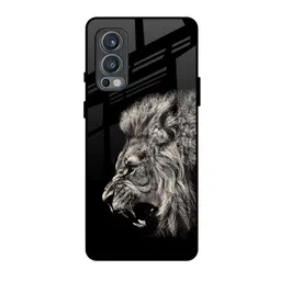 QRIOH Quirky Printed Oneplus Nord 2 Back Case Mobile Accessories-3