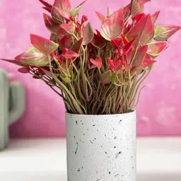 De Gardenia Red Eucalyptus Artificial Plant With Pot-picture-12