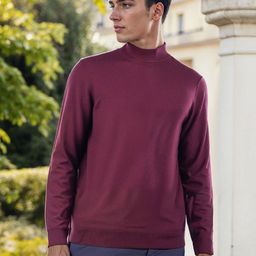 Celio Men Pullover-picture-12