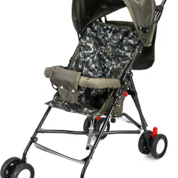 Pram, Stroller, and Bassinet with Parental Handle, Canopy, for Newborns Pram-11