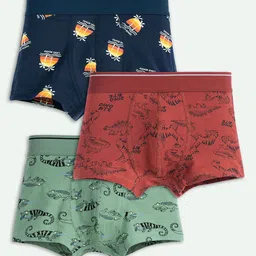 ariel Boys Pack Of 3 Printed Trunks AR-BT-P3-S1-lizdinoaopZ-36