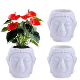 Kuber Industries 3Pcs White Lord Buddha Shaped Flower Planters-41