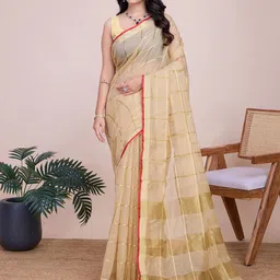 AMRUTKALA SAREES Woven Design Checked Zari Saree-picture-55