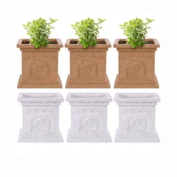 Myntra Elegant Homes Pack of 6 Plastic Tulsi Planters-picture-4