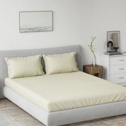 DDecor Beige 180 TC Pure Cotton Super King Bedsheet - 2.74 M x 2.74 M-picture-9