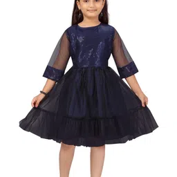 BAESD Embellished Net Fit & Flare Dress-picture-36