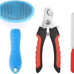 Oval Slicker Brush and nail cutter set for dog essential for all pet needs Grooming Gloves for Dog & Cat-11