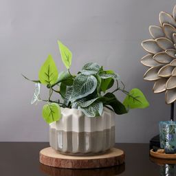 TAYHAA Grey & White Colorblocked Ceramic Ashen Elegance Planter-5