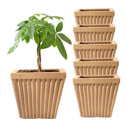 Kuber Industries 6Pcs Brown Textured Roto MouldPihu Splash Flower Planters-image-47