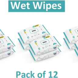 Pack of 12 Wet Wipes (78 leaf each) With Cap Wipes With Lid WIP62.3-23