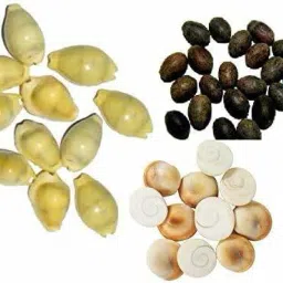 Pack of 11 Pilli Kodi, 11 Kamal Gatta Seed and 11 Gomati Chakra Multi Colour Marble Yantra-29
