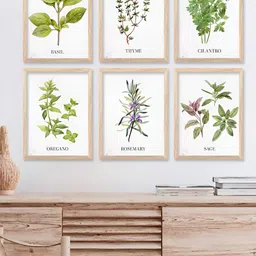 Kotart Green & White 6 Pieces Wood Floral and Botanical Printed Wall Art-image-33