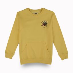 Gini and Jony Boys Graphic Printed Sweatshirt-image-20