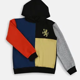 Desi Soota Boys Printed Hooded Sweatshirt-picture-22