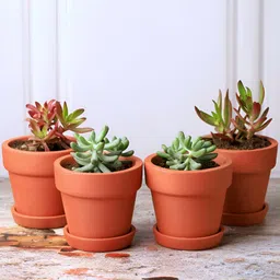 The handicraftian 2Pcs Red Clay Planter-25